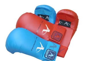 Arawaza WKF Karate Mitt